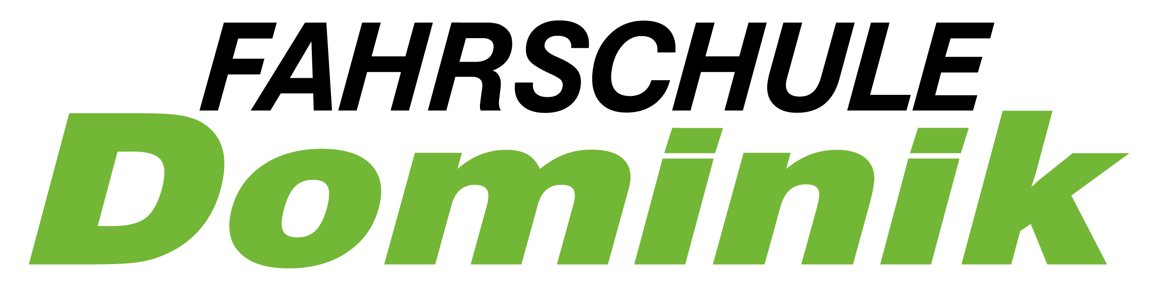 FS Dominik Logo